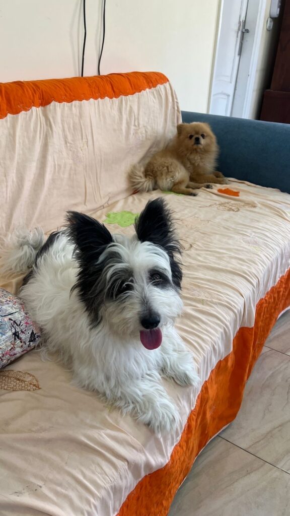 Google Photo 6