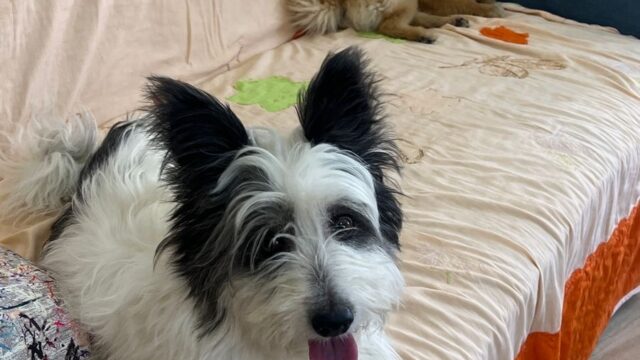 Google Photo 6