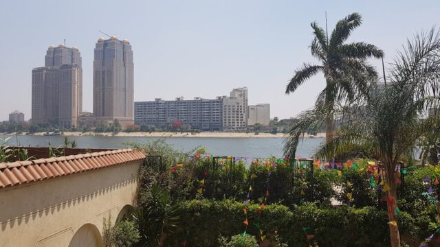 Google Photo 6