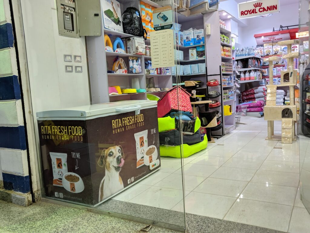 Google Photo 3