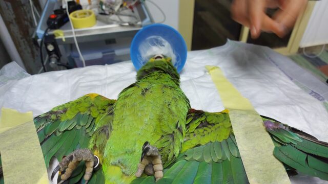 Google Photo 3