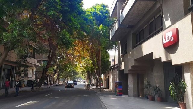 Google Photo 2