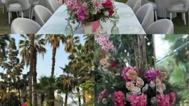 Google Photo 7