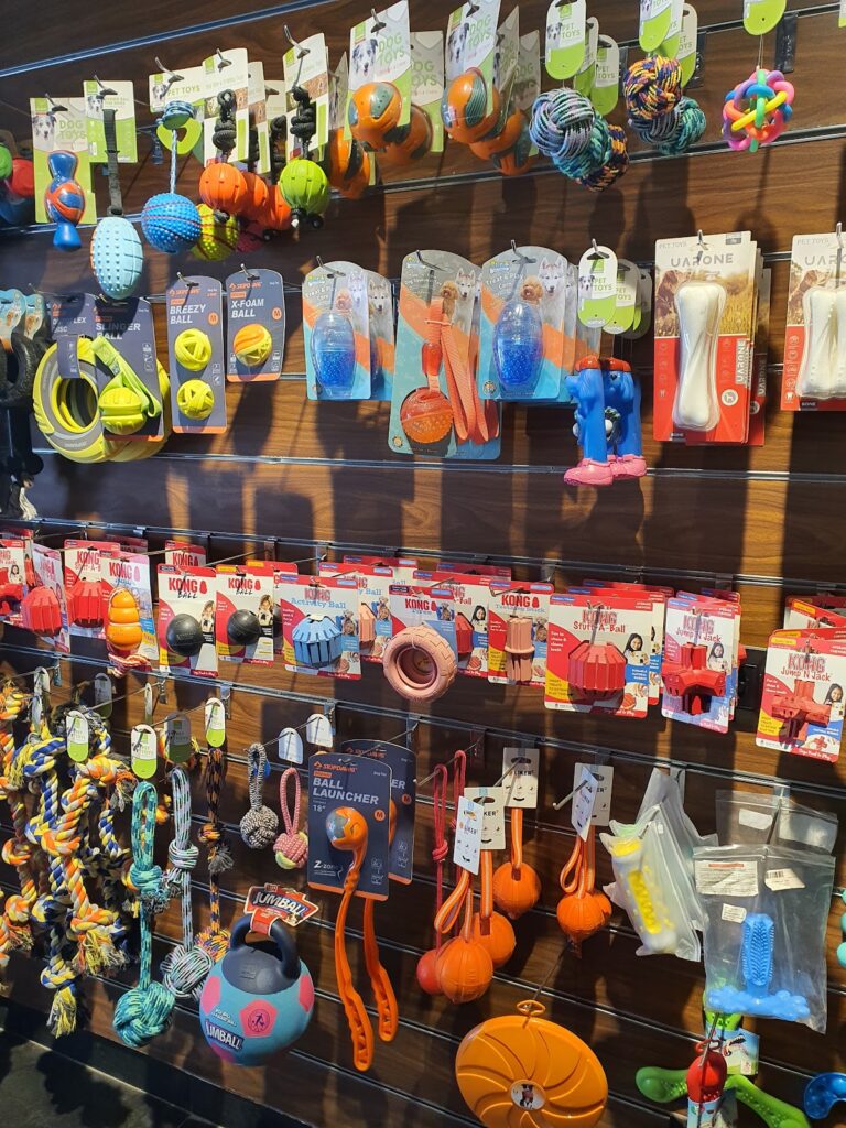 Google Photo 10