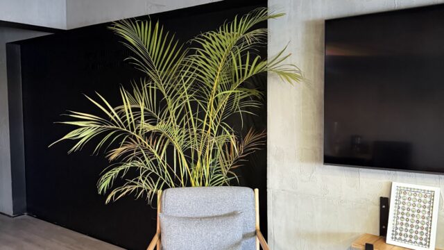 Google Photo 9