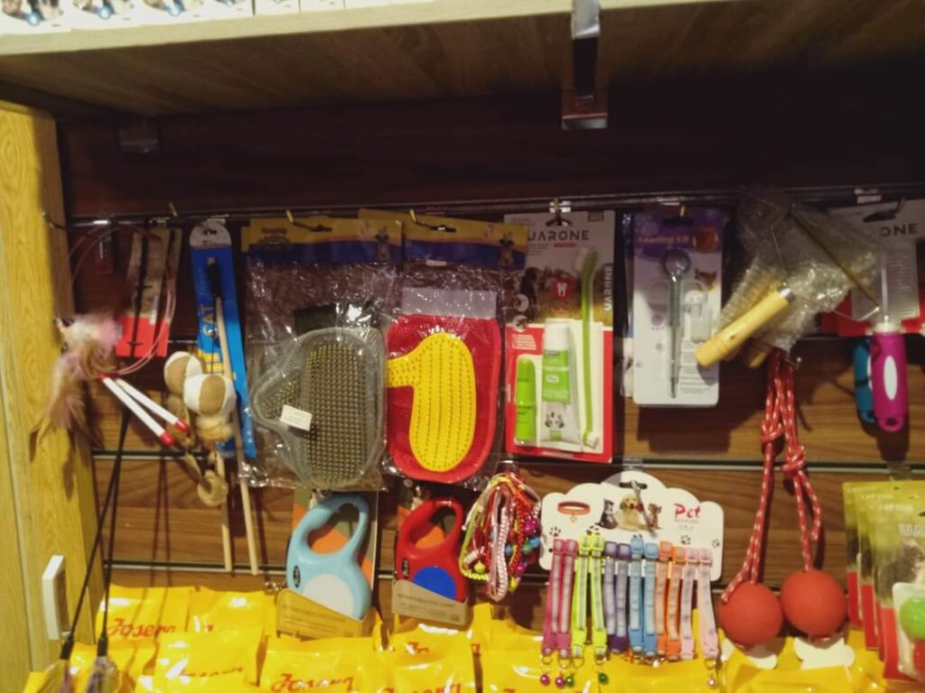 Google Photo 8