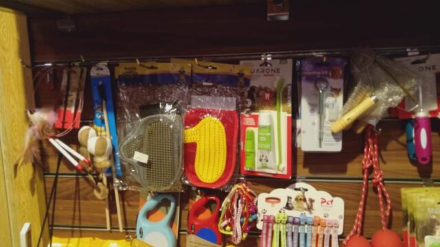 Google Photo 8