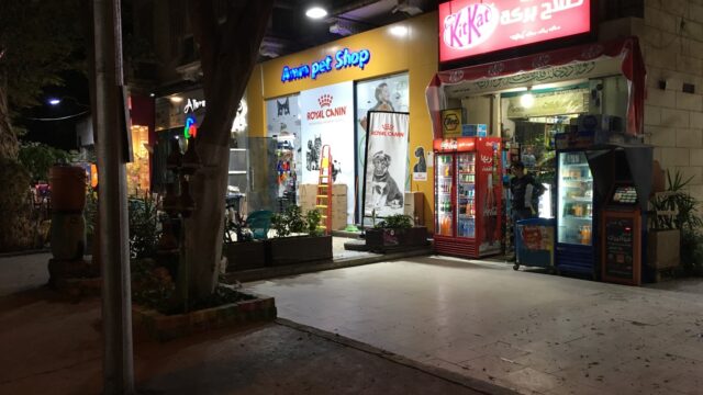 Google Photo 6