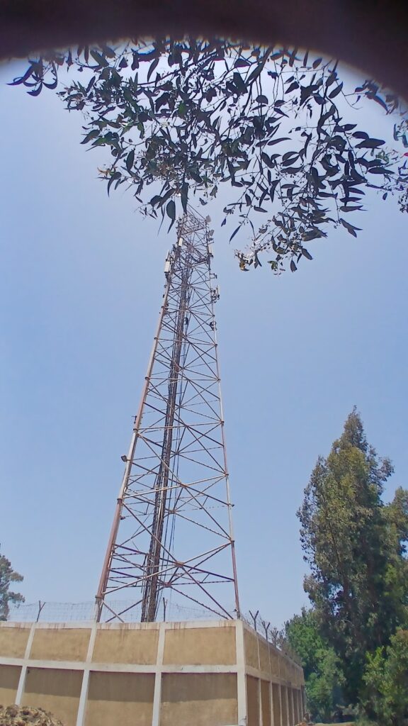 Google Photo 7