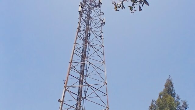Google Photo 7