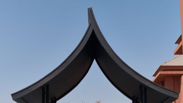 Google Photo 7