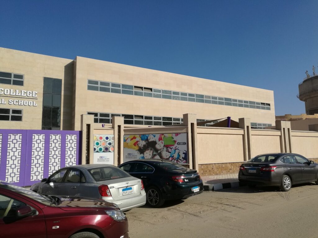 Google Photo 3
