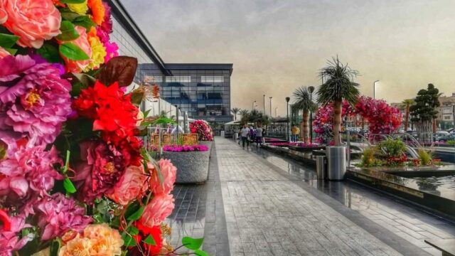 Google Photo 6