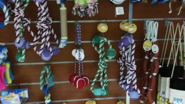 Google Photo 7