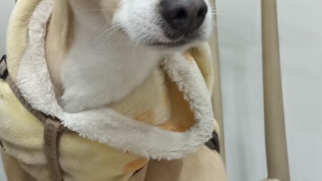 Google Photo 8