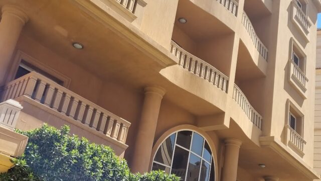 Google Photo 3