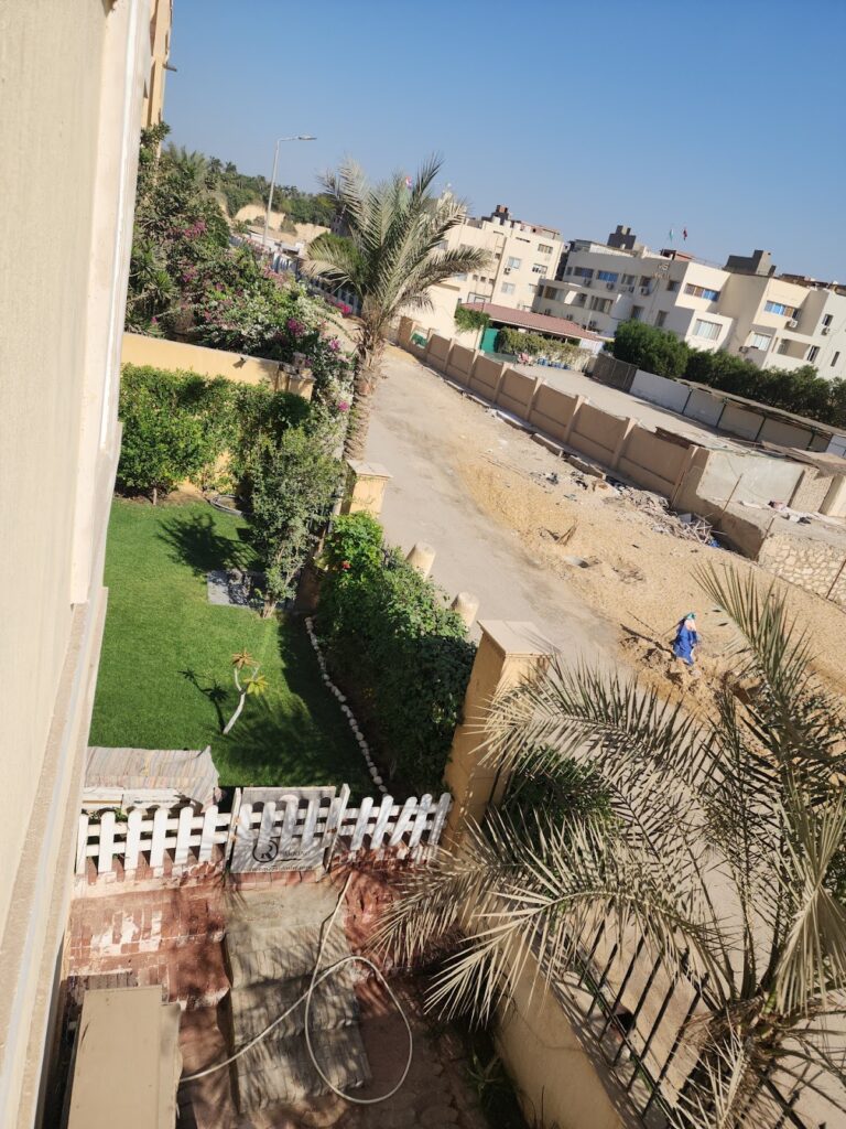 Google Photo 9