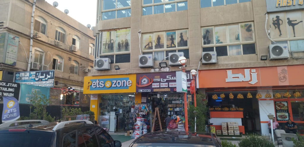 Google Photo 3