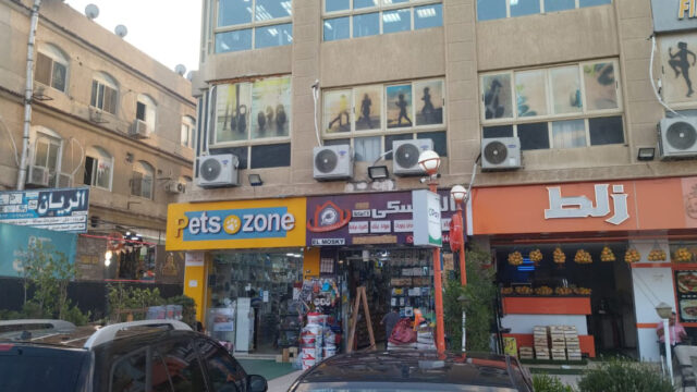 Google Photo 3