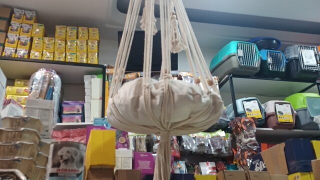 Google Photo 2