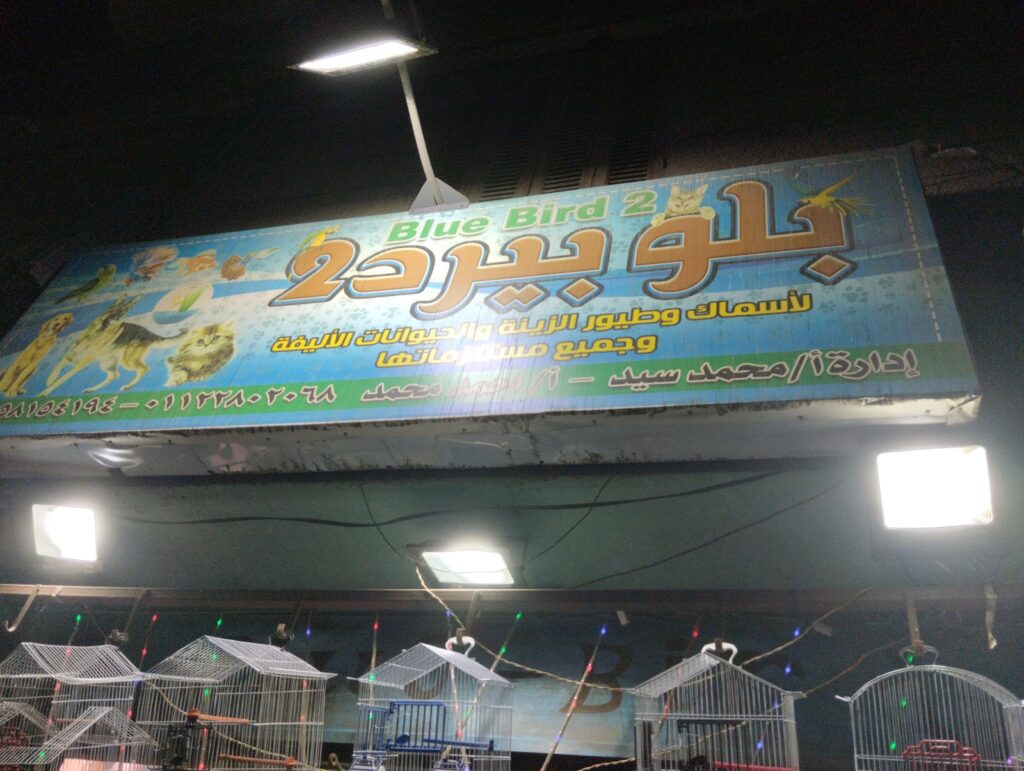 بيع الحيوانات الأليفة