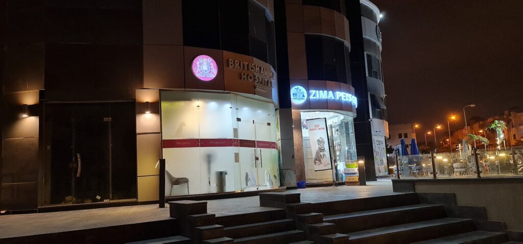Google Photo 3