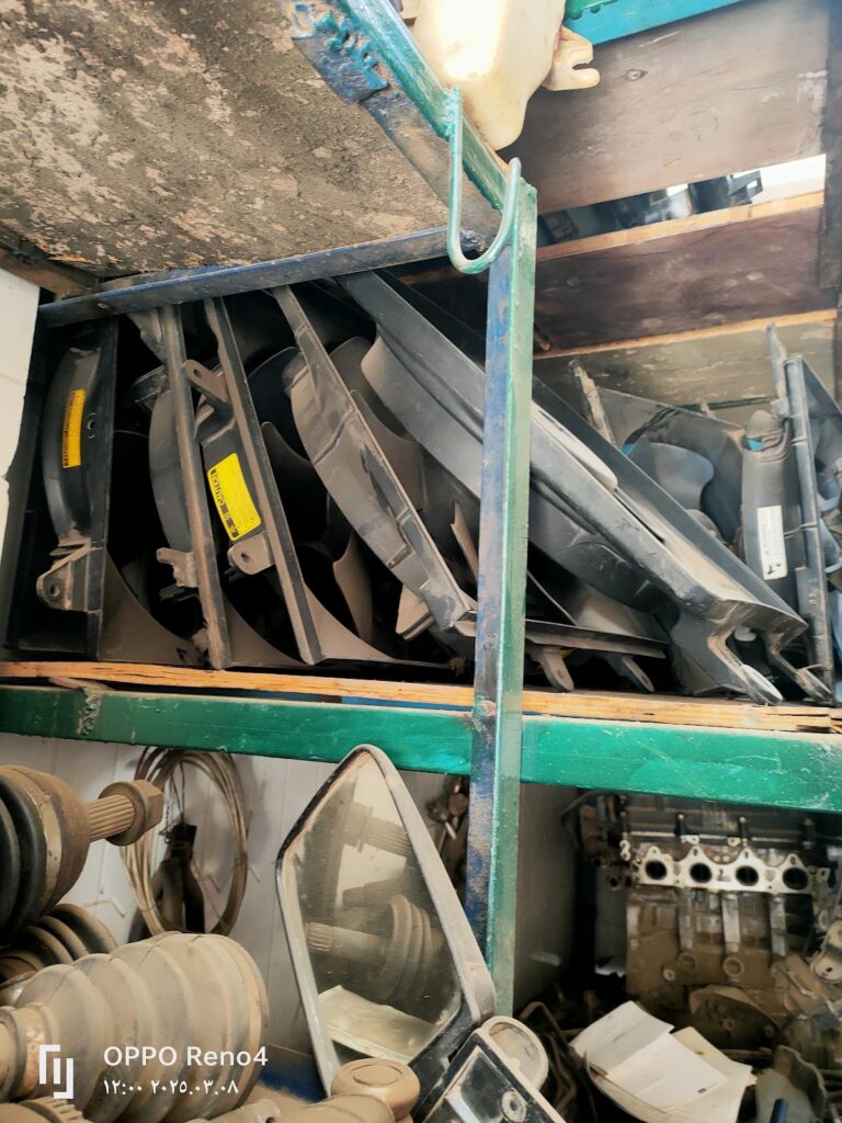 Google Photo 9