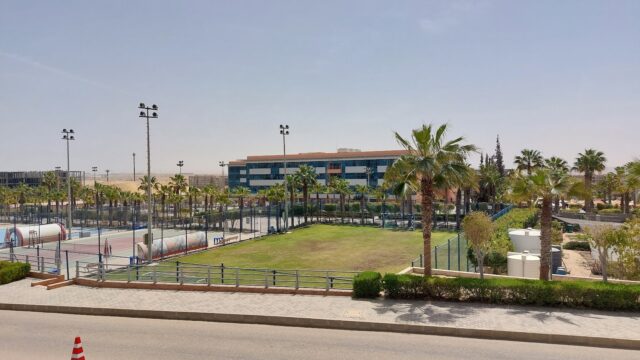 Google Photo 6