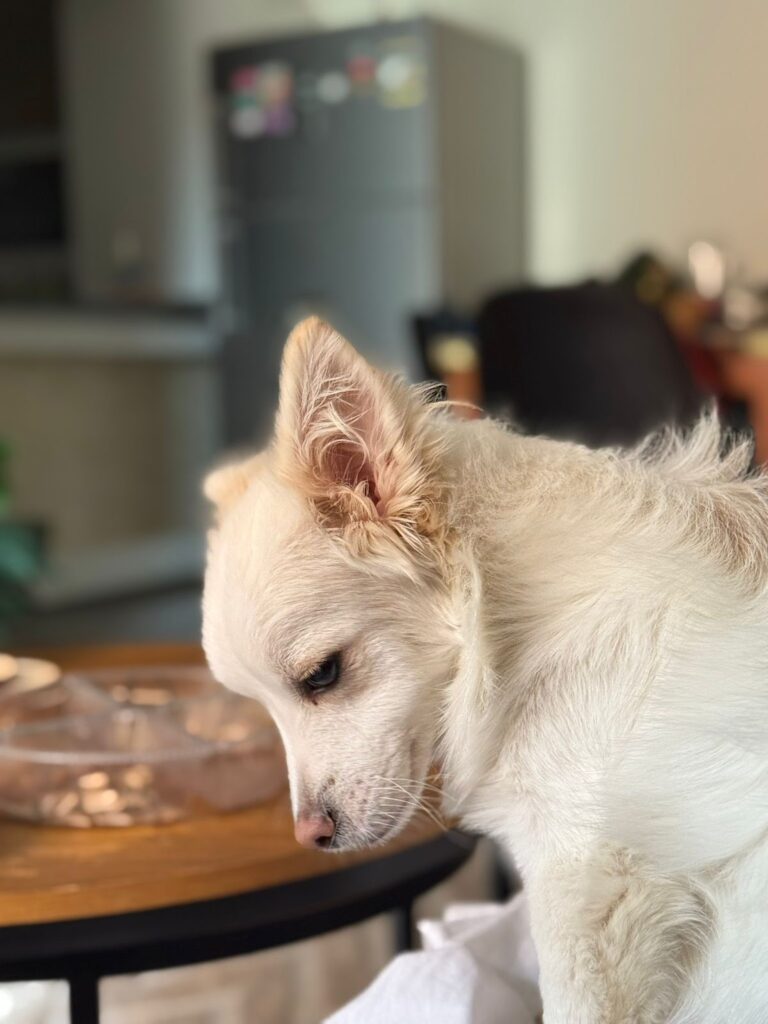 Google Photo 3