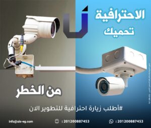 الصورة 3