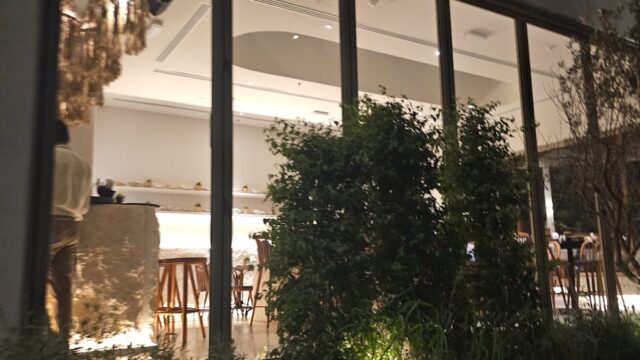 Google Photo 4