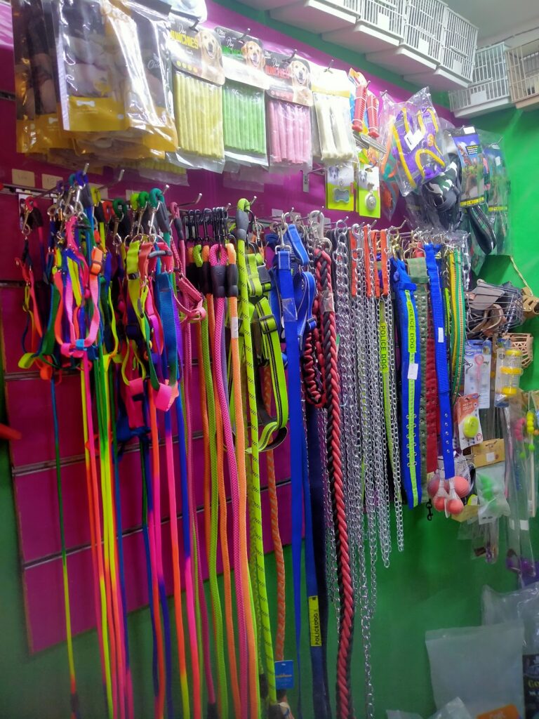 Google Photo 9