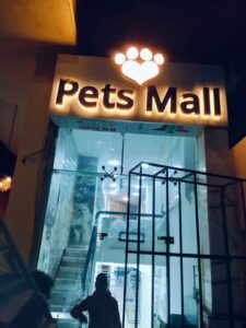الصورة 1