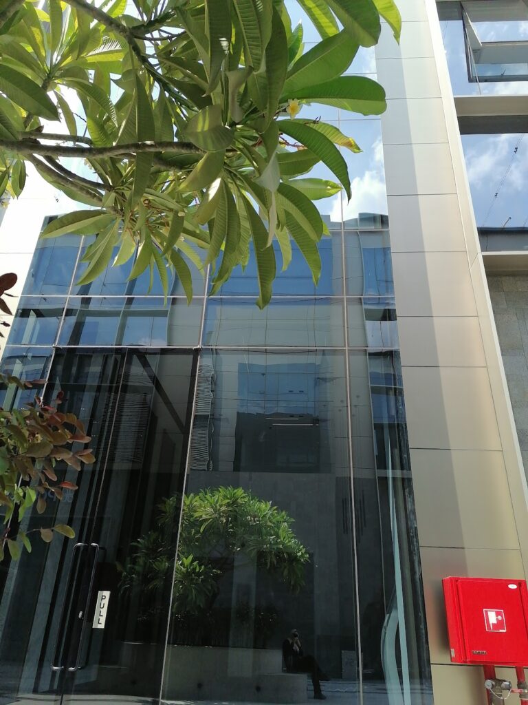 Google Photo 10