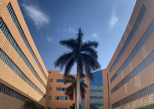 Google Photo 2