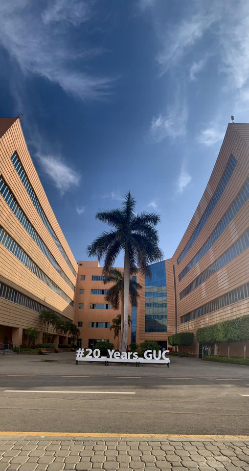 Google Photo 2