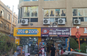الصورة 1