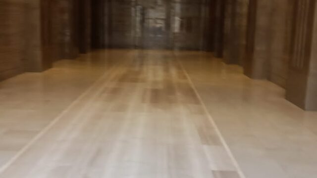 Google Photo 7