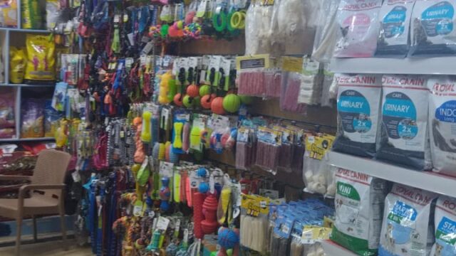Google Photo 2