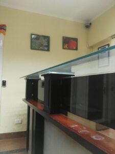 الصورة 3