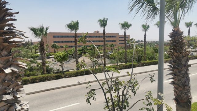 Google Photo 9
