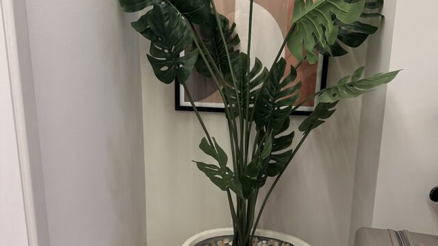 Google Photo 10