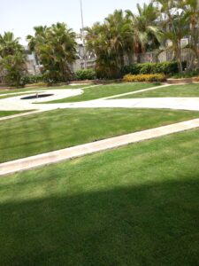 الصورة 3