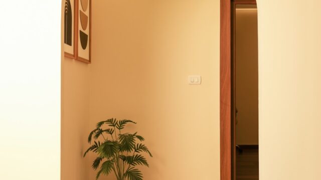 Google Photo 10