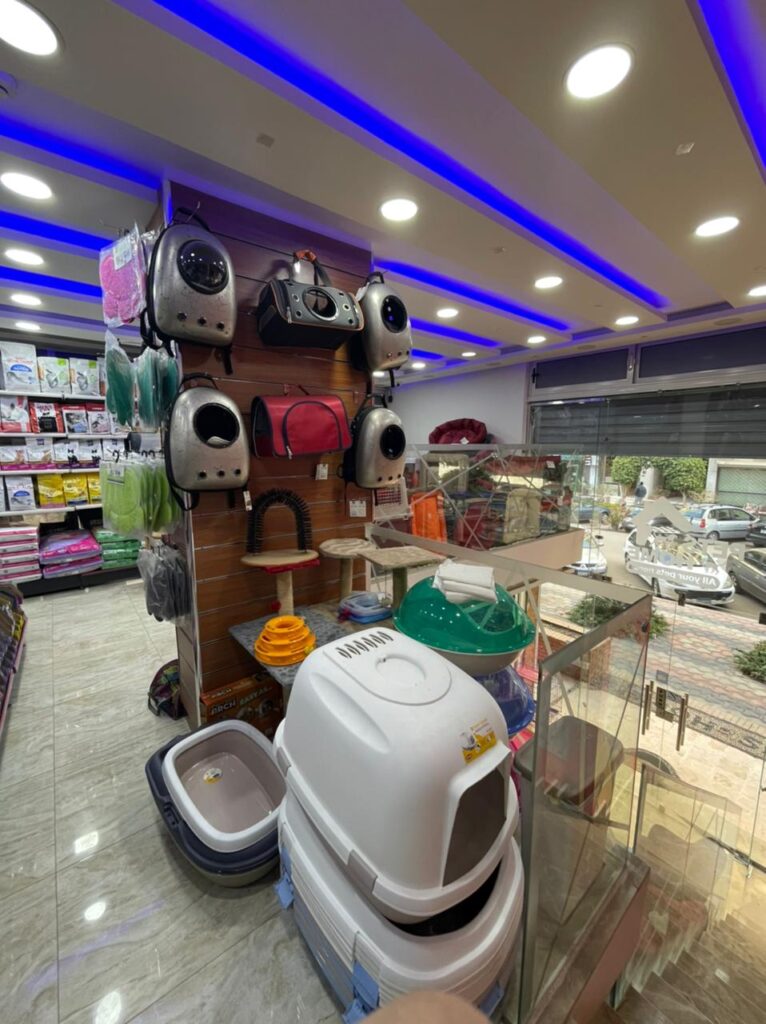 Google Photo 10