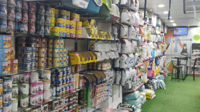 Google Photo 4