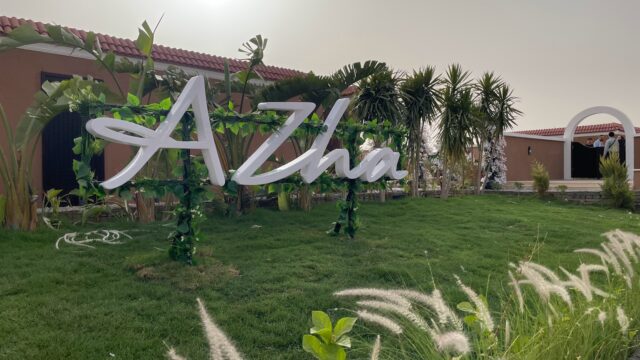 Google Photo 8