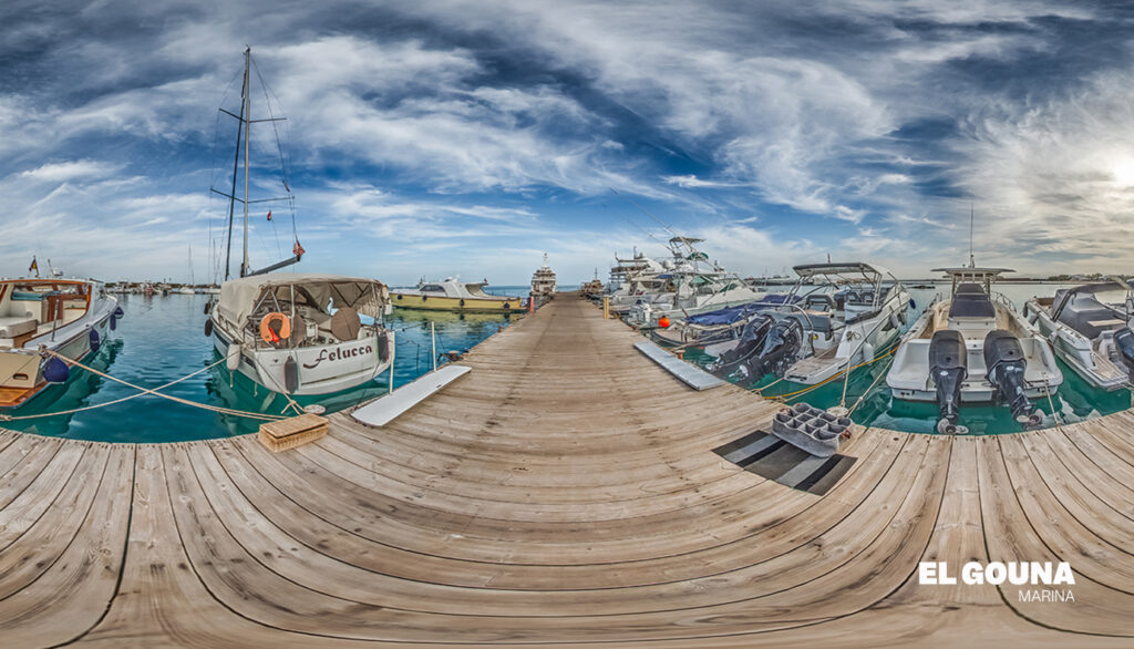 Google Photo 4