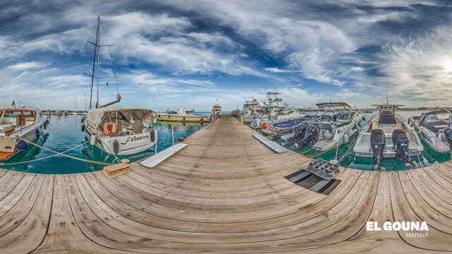 Google Photo 4