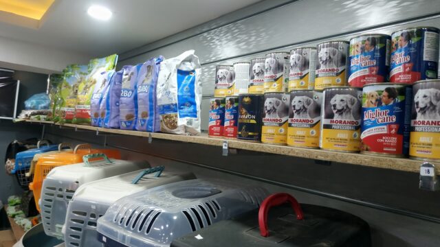 Google Photo 7